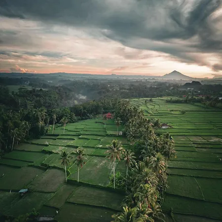 Hotel Ayu Duwur Beji
